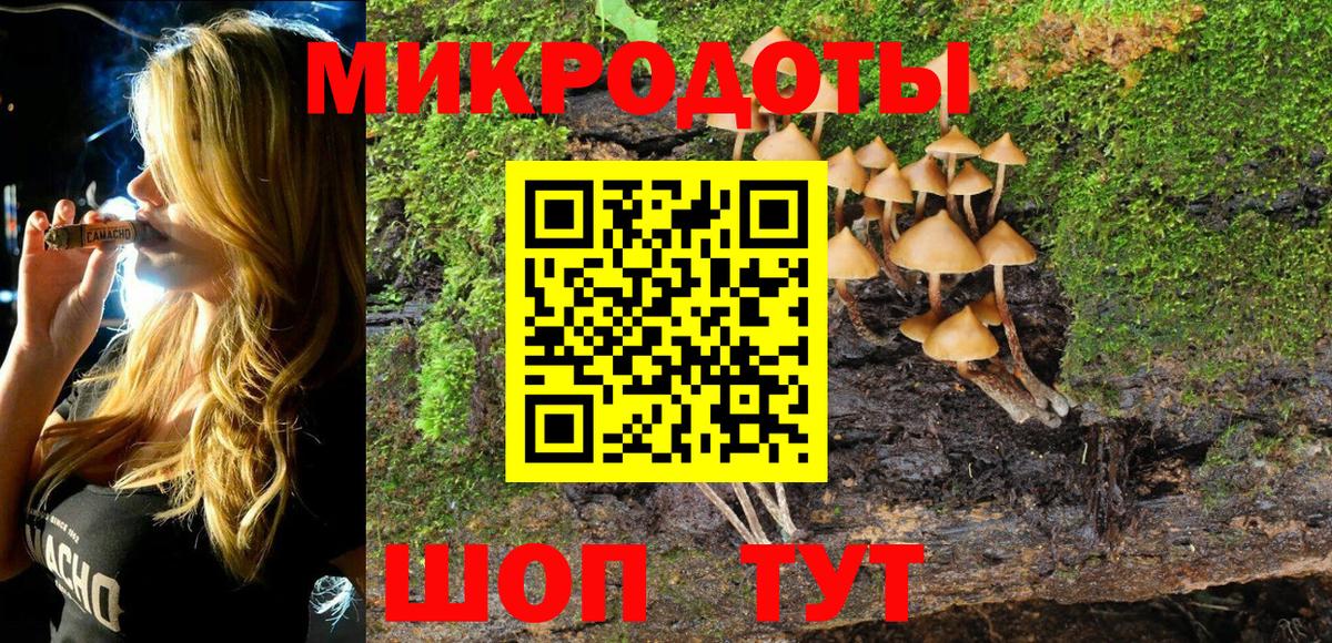 Псилоцибиновые грибы Psilocybine cubensis Ессентуки