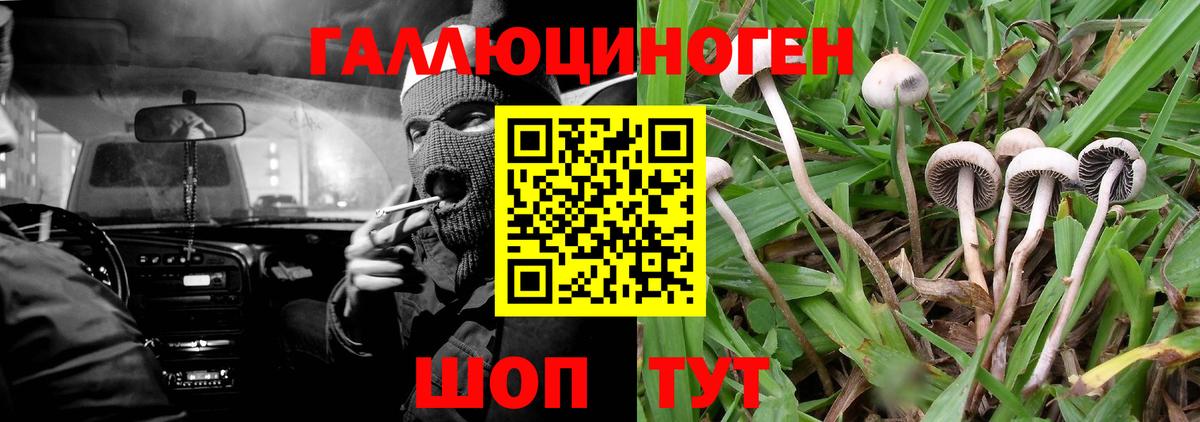 Галлюциногенные грибы мухоморы  Ессентуки 