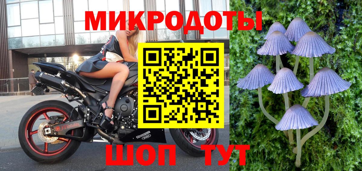 Ессентуки  Галлюциногенные грибы прущие грибы  Вход с VPN 